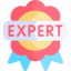 Expert Trainers